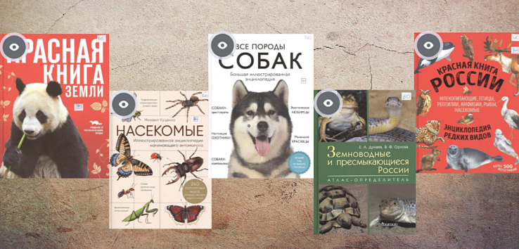 Новинки энциклопедической и справочной литературы: обзор 